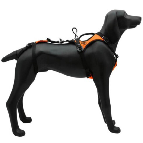 救助犬専用ハーネス HARIA(ハリアー)イメージ688